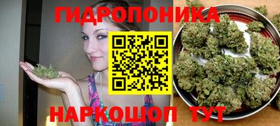 кокс Малоярославец