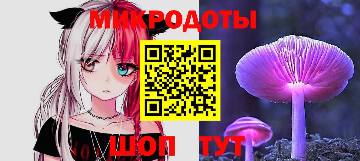 Галлюциногенные грибы Psilocybine cubensis Хасавюрт