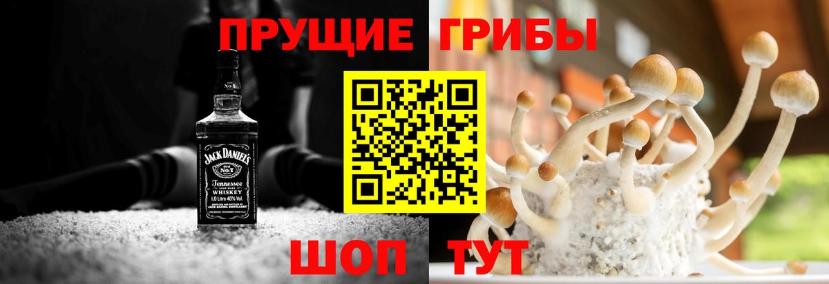 Псилоцибиновые грибы мицелий  Вход с VPN  Хасавюрт  Галлюциногенные грибы мицелий 